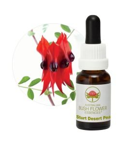 Sturt Desert Pea, 15 ml